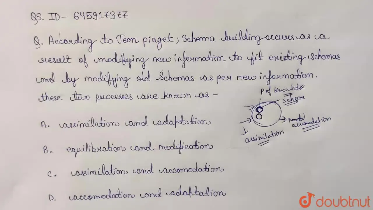 According to Jean Piaget schema building occurs as a result of modify