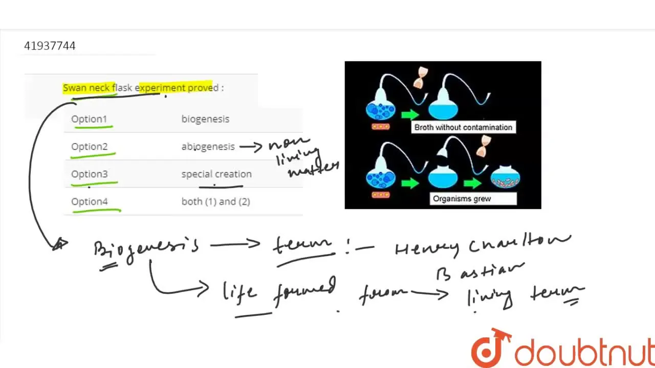 swan neck flask experiment proved