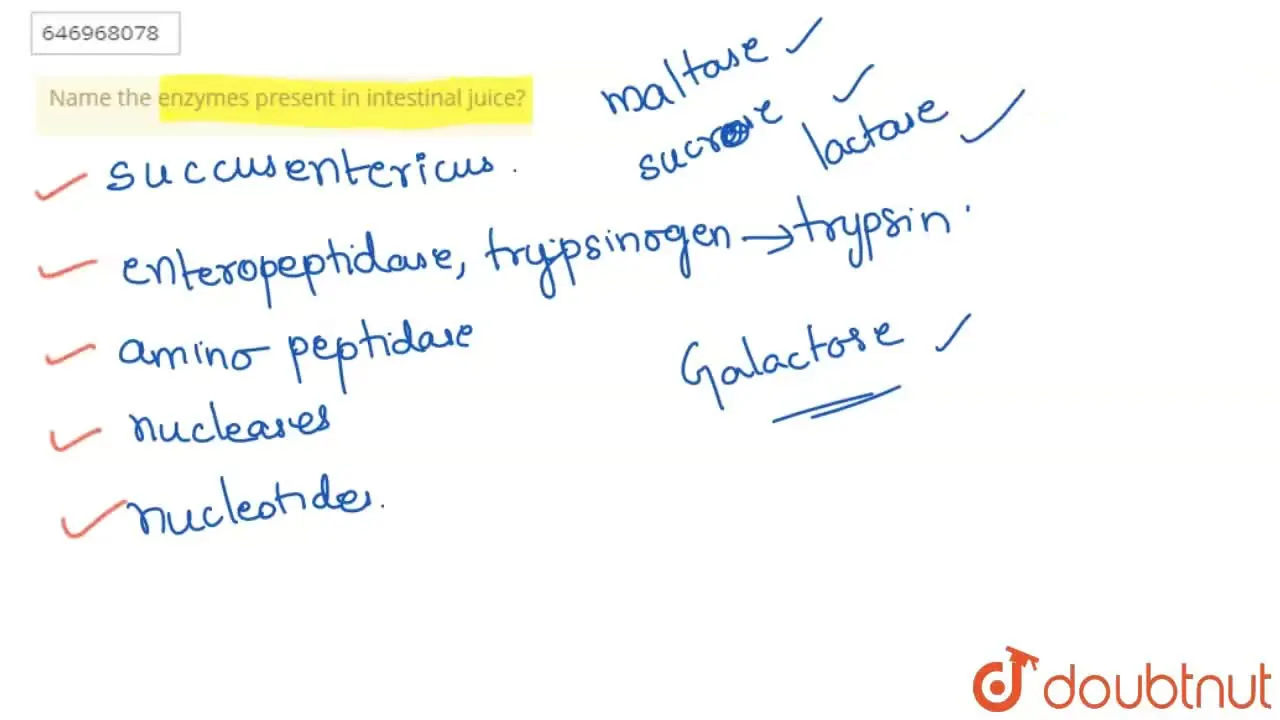 [Tamil Solution] Name the enzymes present in intestinal juice?