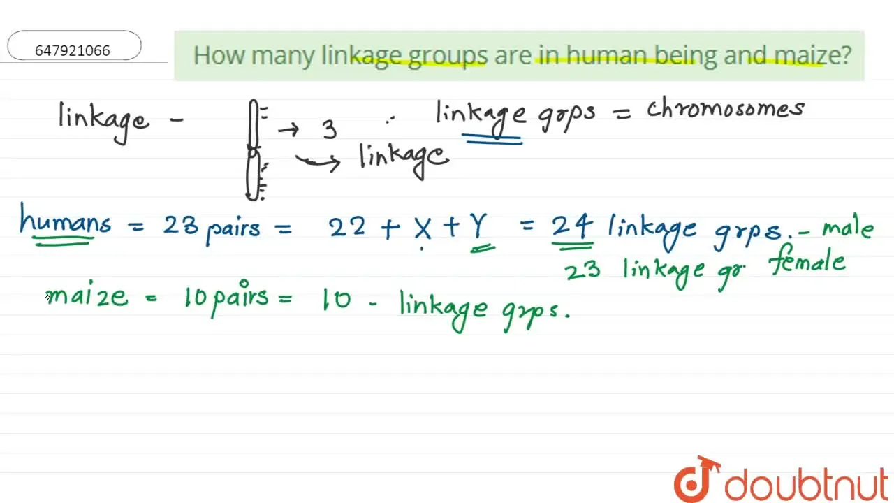 [Marathi Solution] How many linkage groups are in human being and maiz
