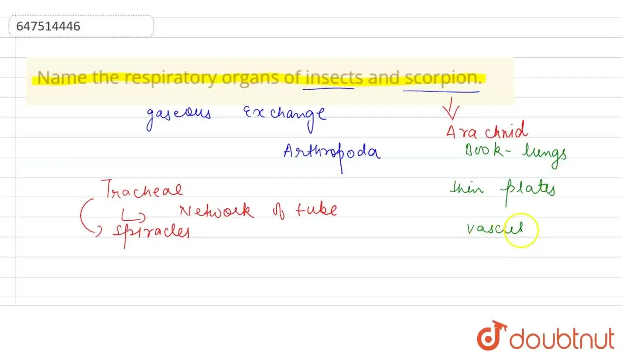 [Punjabi Solution] Name the respiratory organs of insects and scorpion