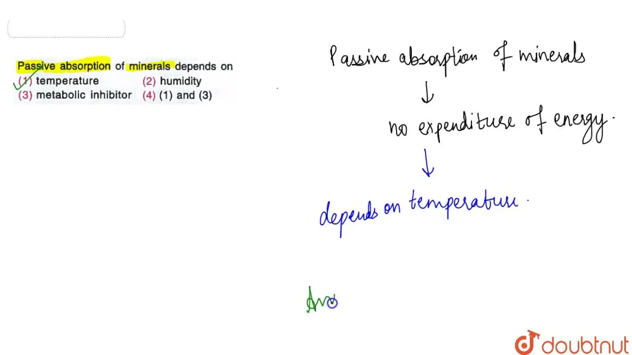Passive obsorption of minerals depends on