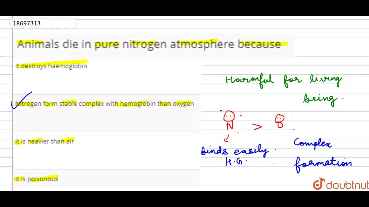 Animals die in pure nitrogen atmosphere because