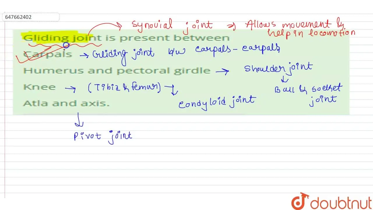 [Bengali Solution] Gliding joint is present between