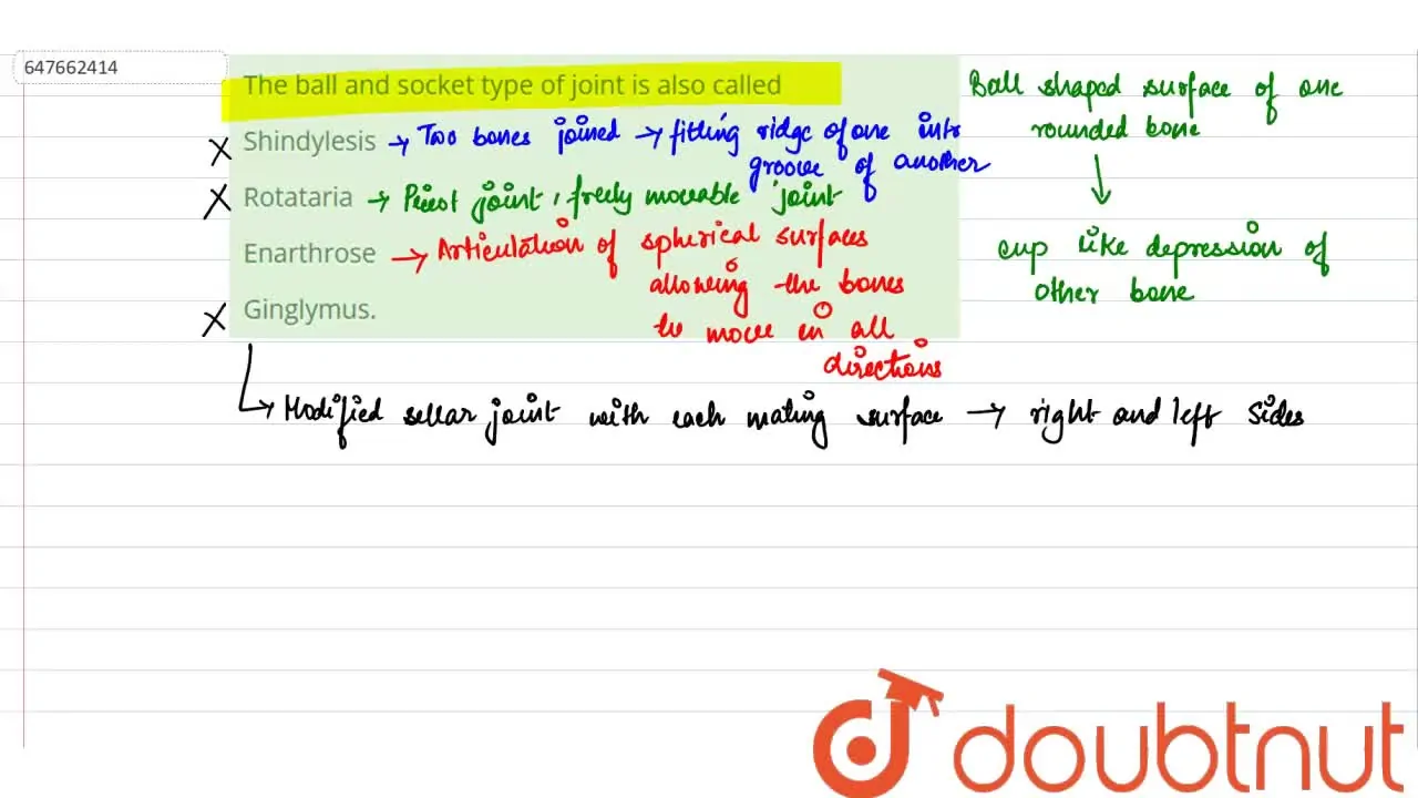 [Bengali Solution] The ball and socket type of joint is also called