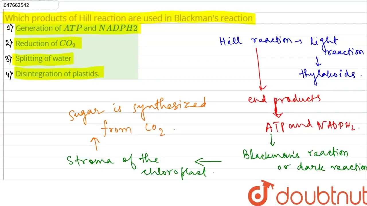 [Bengali Solution] Which products of Hill reaction are used in Blackma