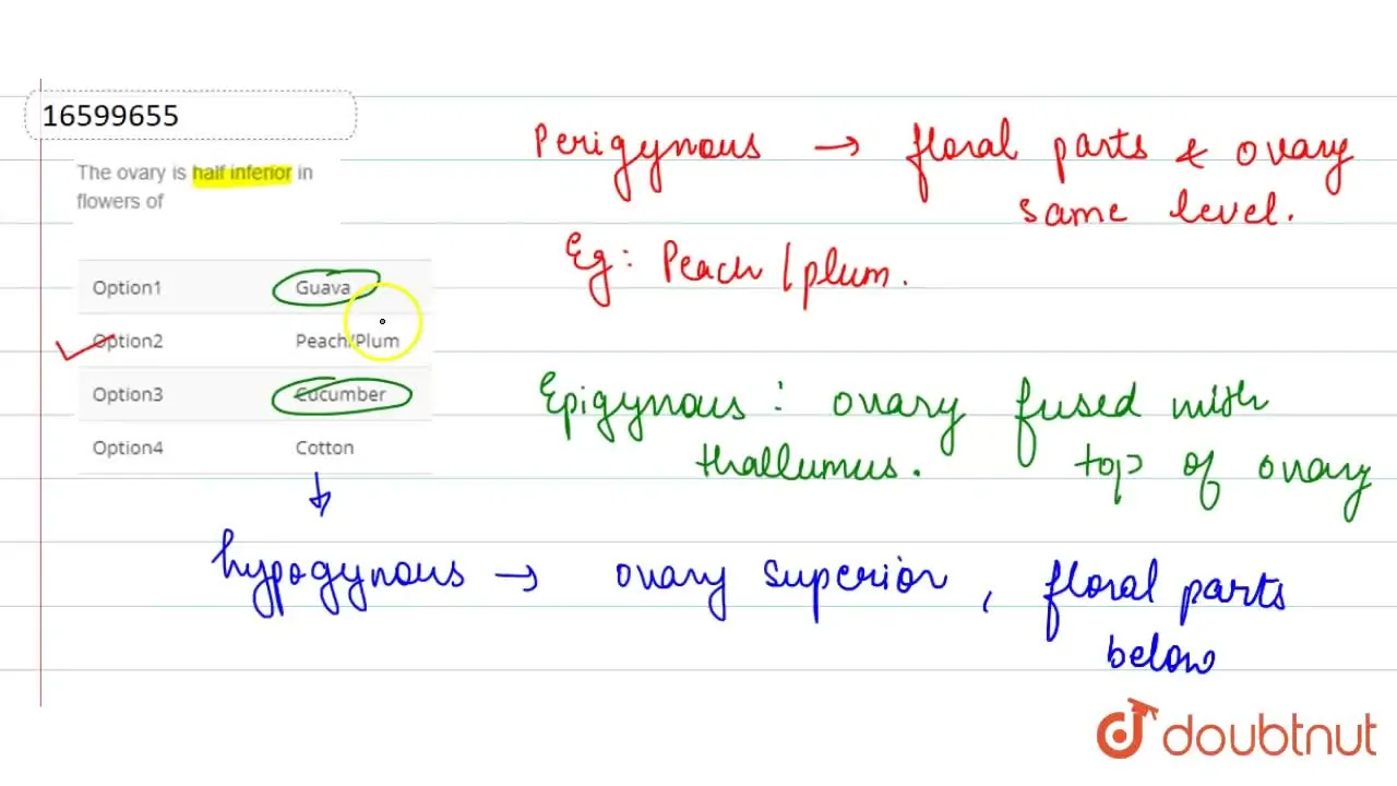 The ovary is half inferior in flowers of