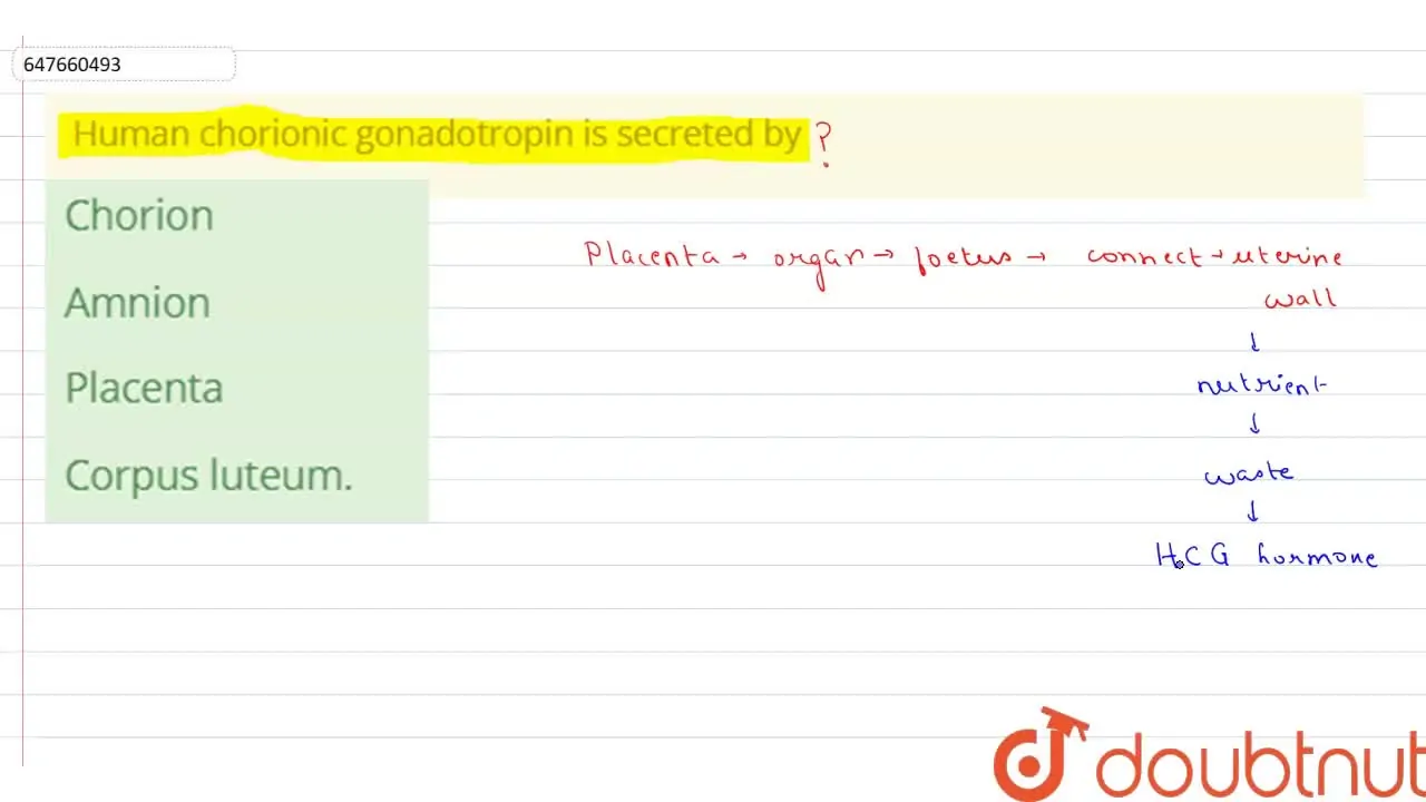 [Bengali Solution] Human chorionic gonadotropin is secreted by