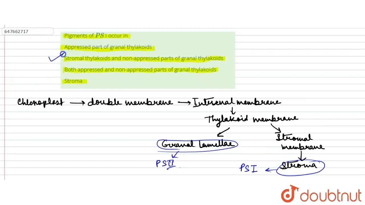 [Bengali Solution] Both appressed and non-appressed parts of granal th