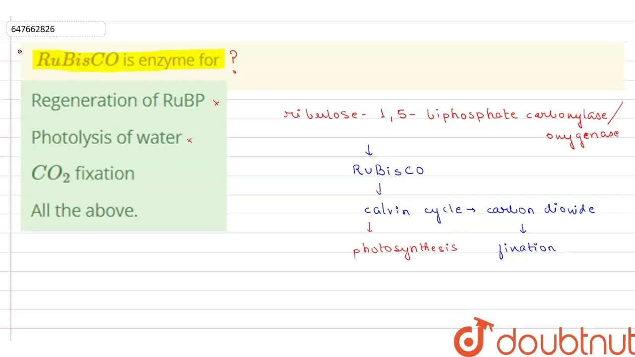 [Bengali Solution] RuBisCO is enzyme for