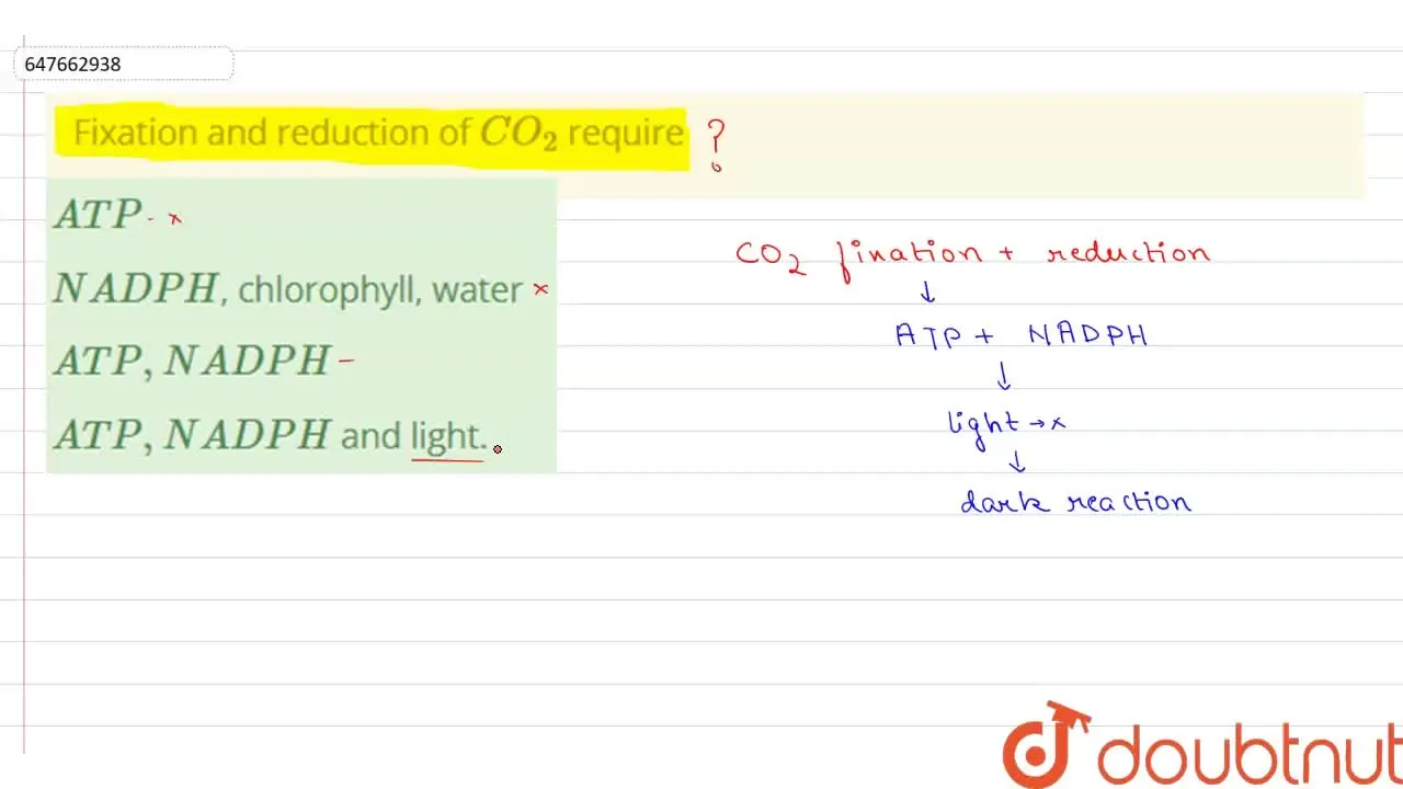 [Bengali Solution] Fixation and reduction of CO(2) require