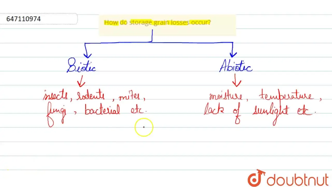 [Punjabi Solution] How do storage grain losses occur?