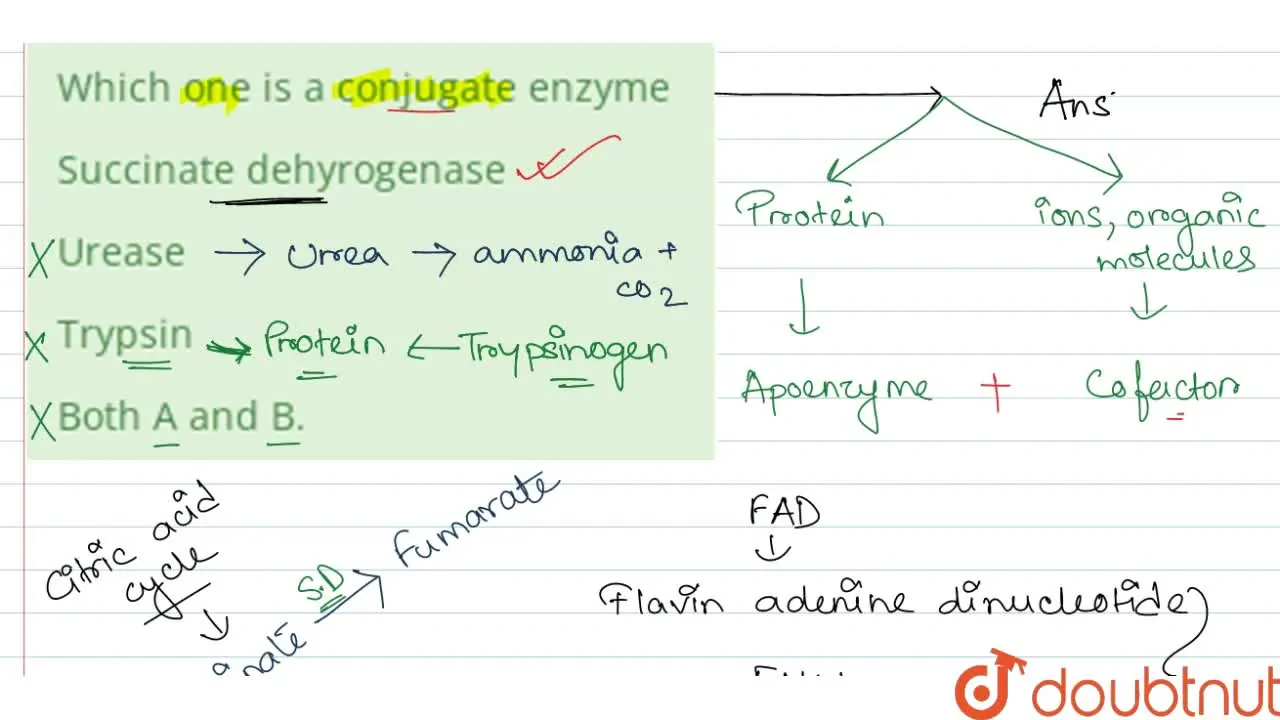 [Bengali Solution] Which one is a conjugate enzyme