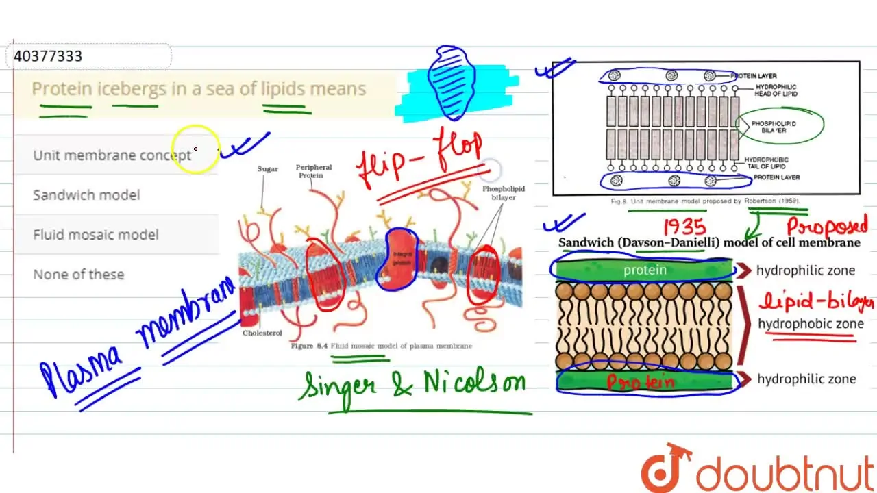 Protein icebergs in a sea of lipids means