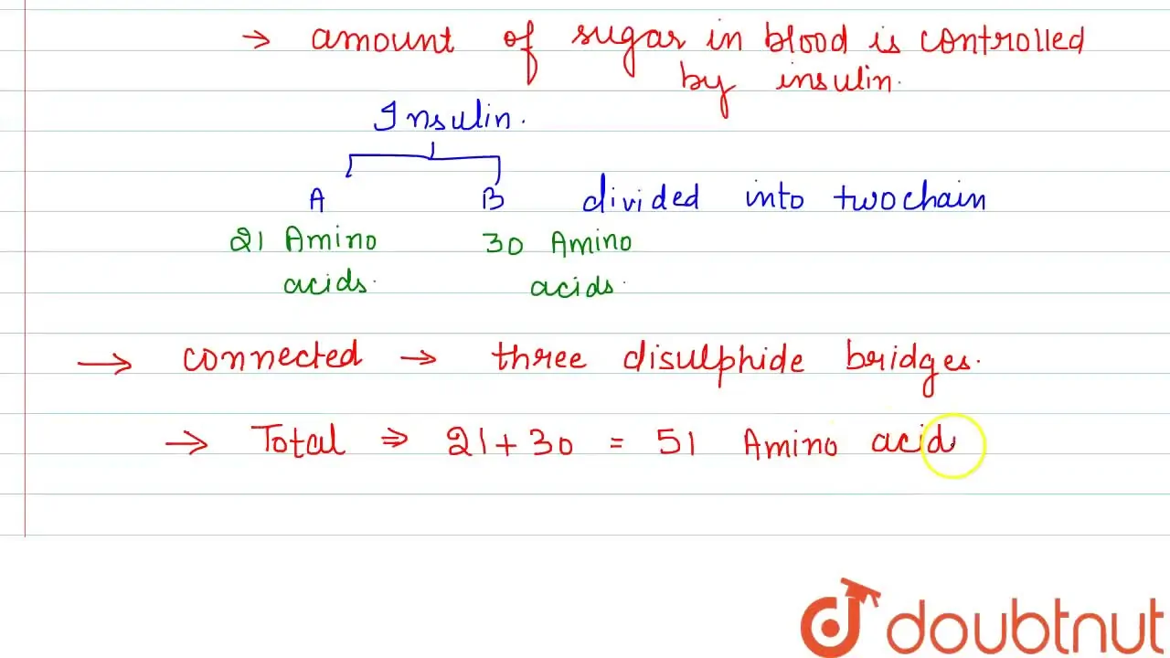 [Punjabi] How many amino acids are present in insulin