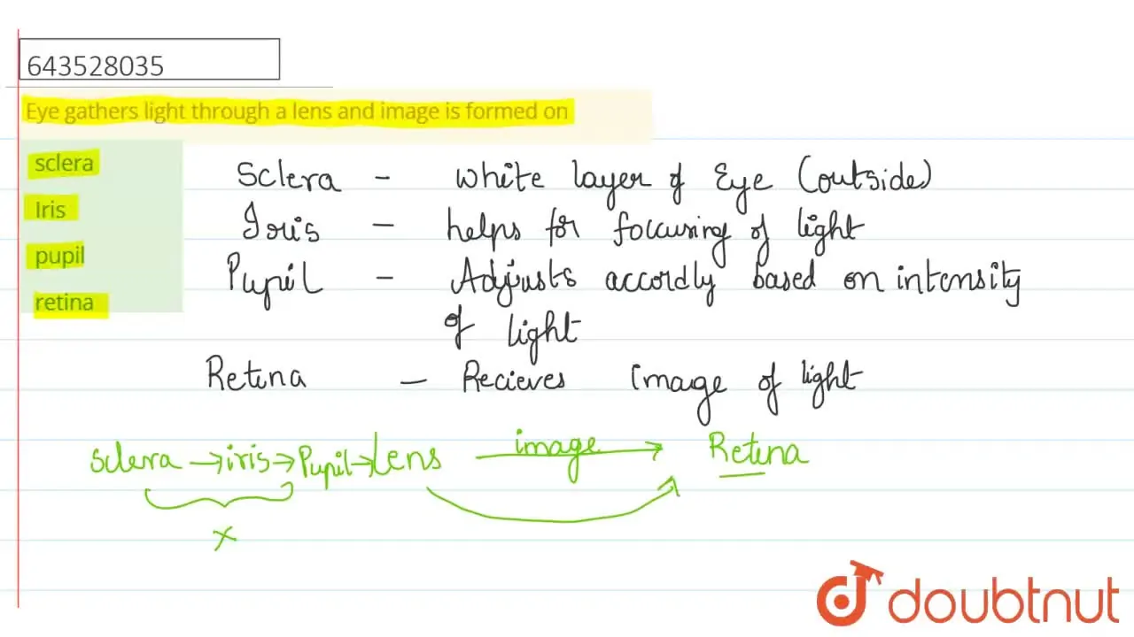 [Telugu Solution] Eye gathers light through a lens and image is formed