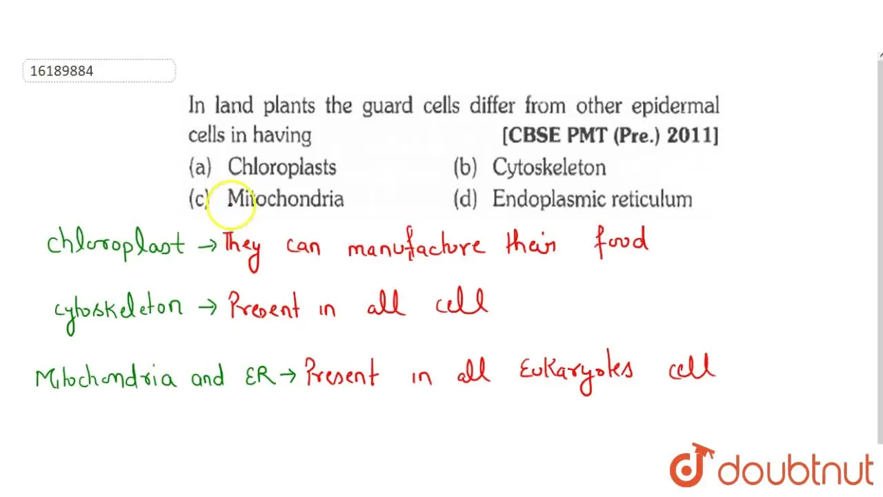 In land plants the guard cells differ from other epidermal cells in ha