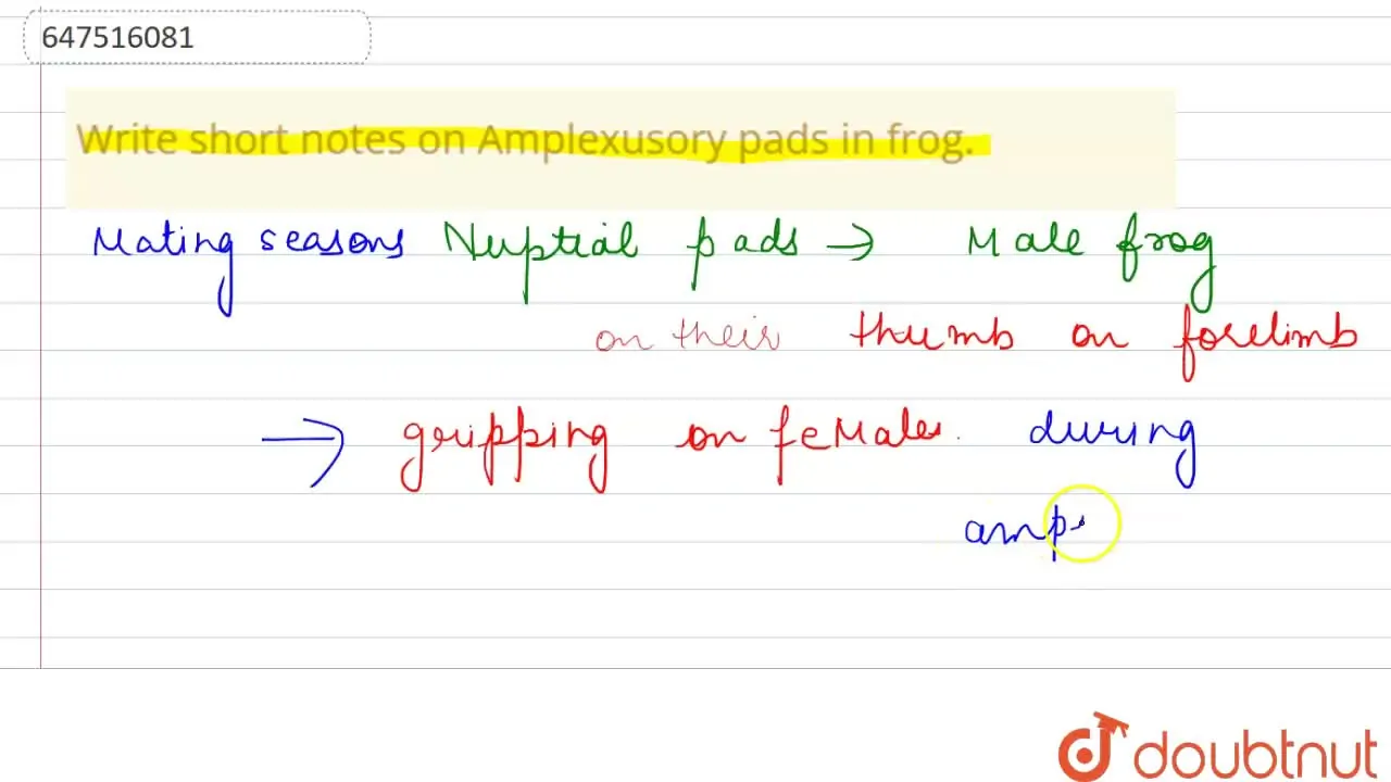 [Punjabi Solution] Write short notes on Amplexusory pads in frog.