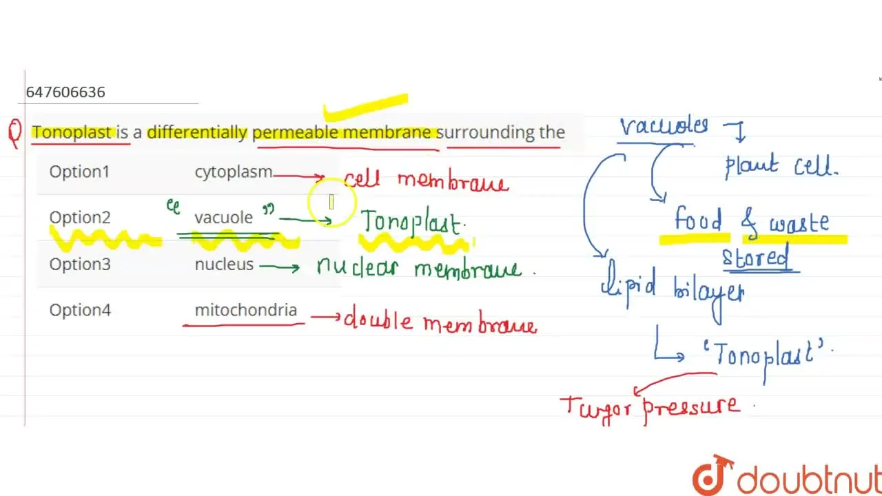 [Marathi Solution] Tonoplast is a differentially permeable membrane su