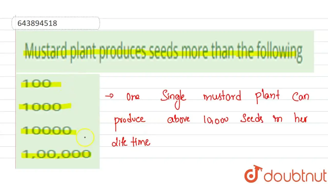 [Telugu Solution] Mustard plant produces seeds more than the following
