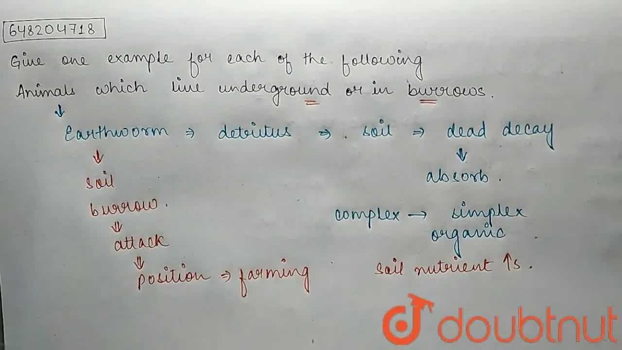 Give one example for each of the following. Animals which live underground  or in burrows.