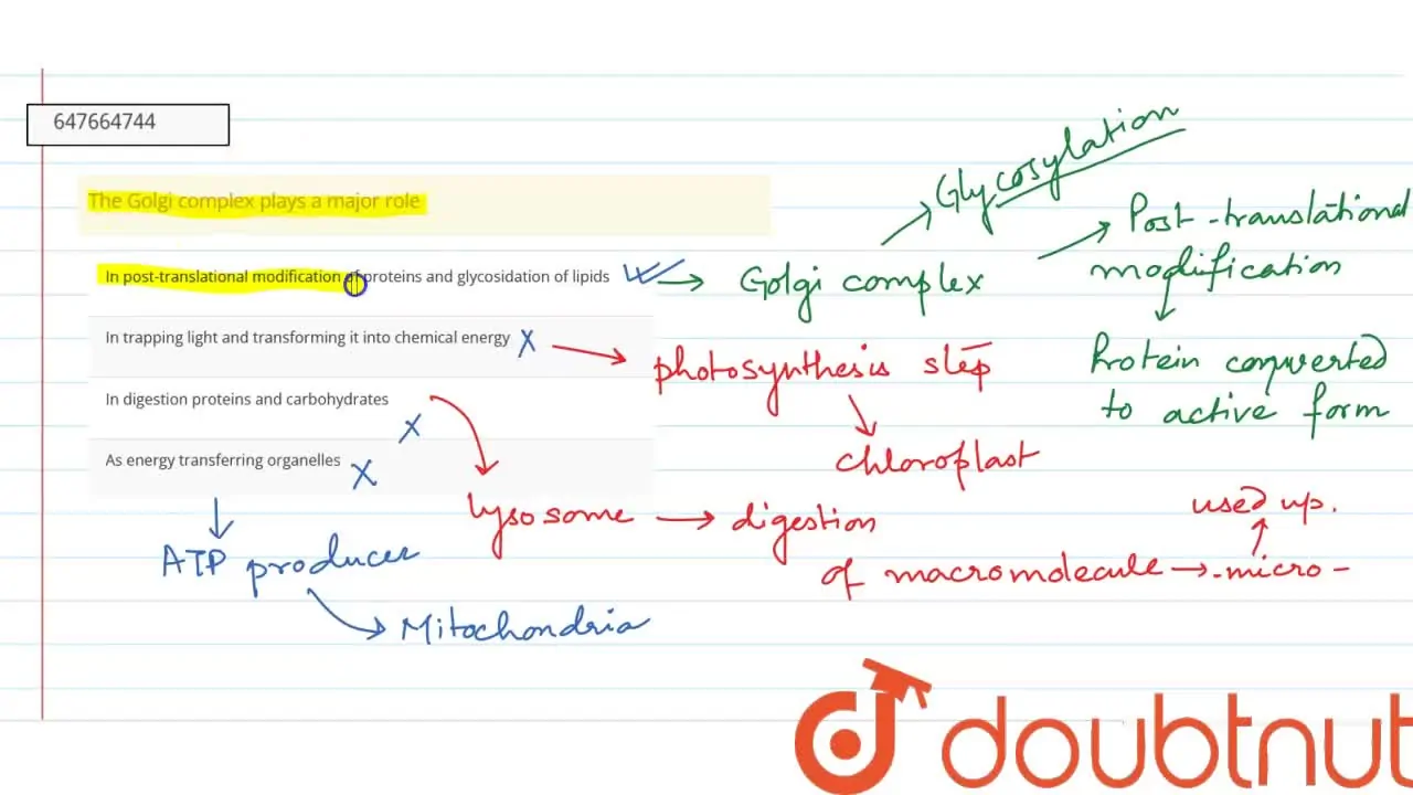 [Bengali Solution] In digestion proteins and carbohydrates