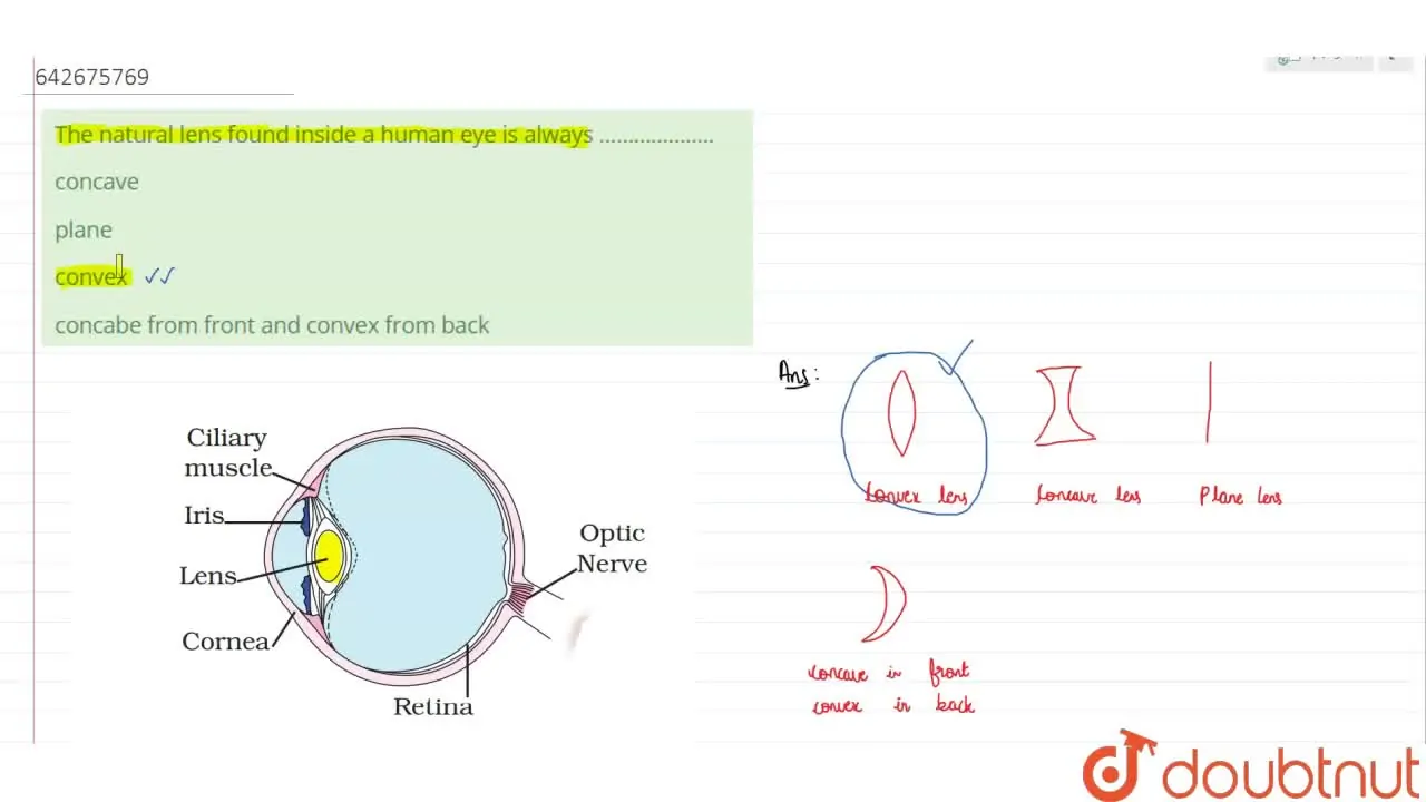 [Kannada] The natural lens found inside a human eye is always