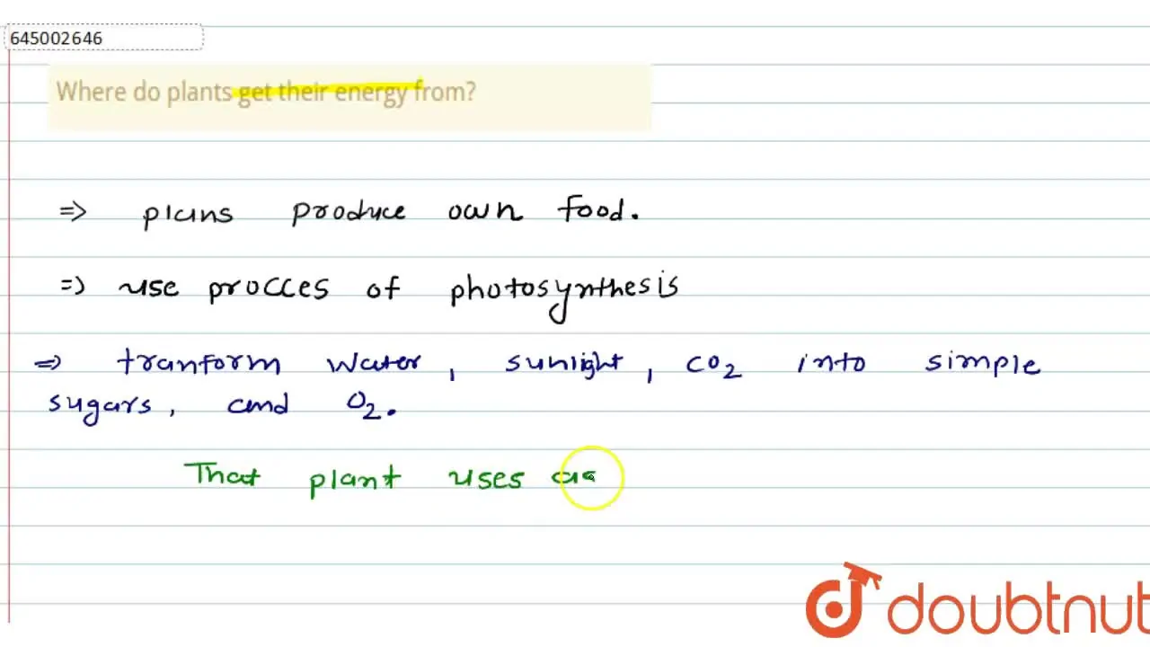 Gujrati Where Do Plants Get Their Energy From gujrati where do plants get their energy from