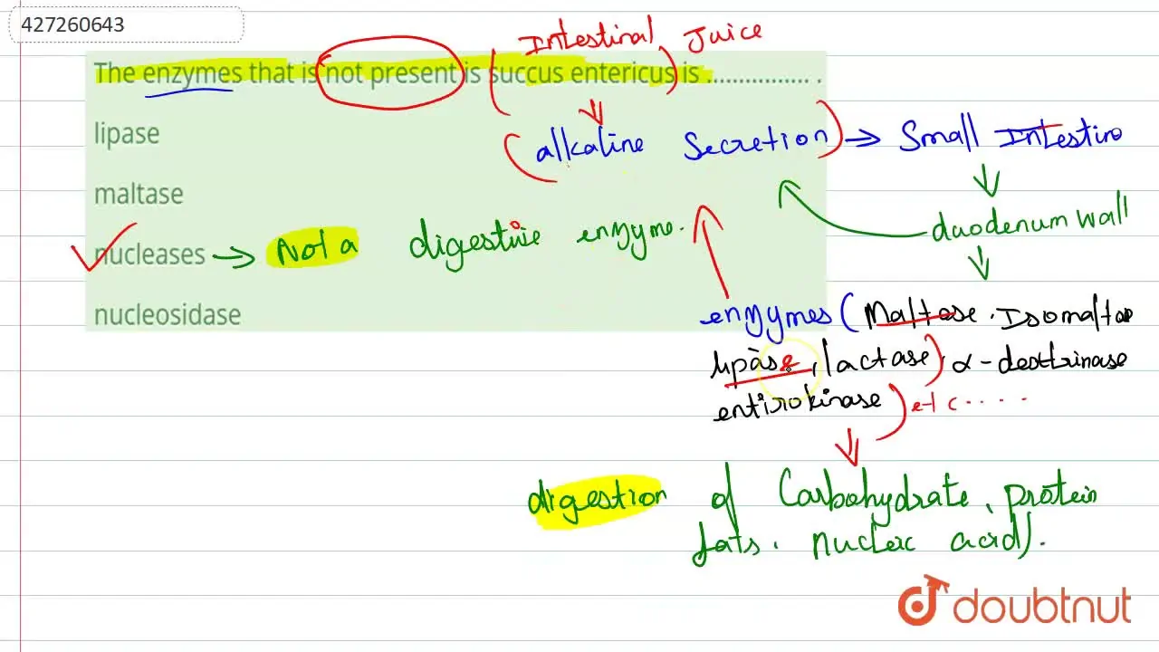 [Tamil Solution] The enzymes that is not present is succus entericus i
