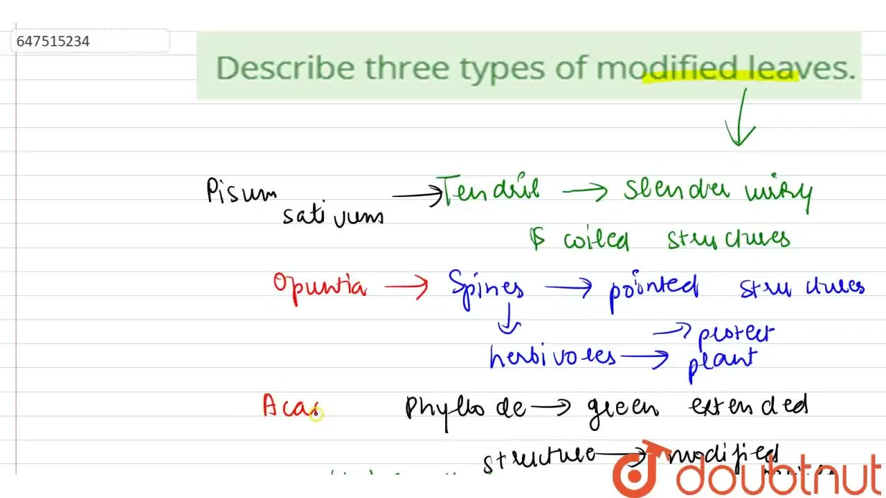 [Punjabi Solution] Describe three types of modified leaves.
