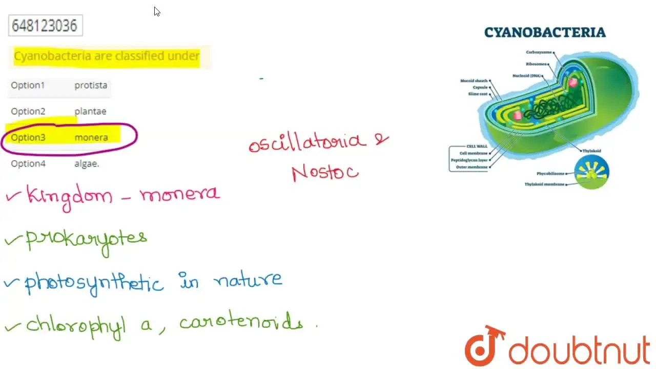 Cyanobacteria are classified under