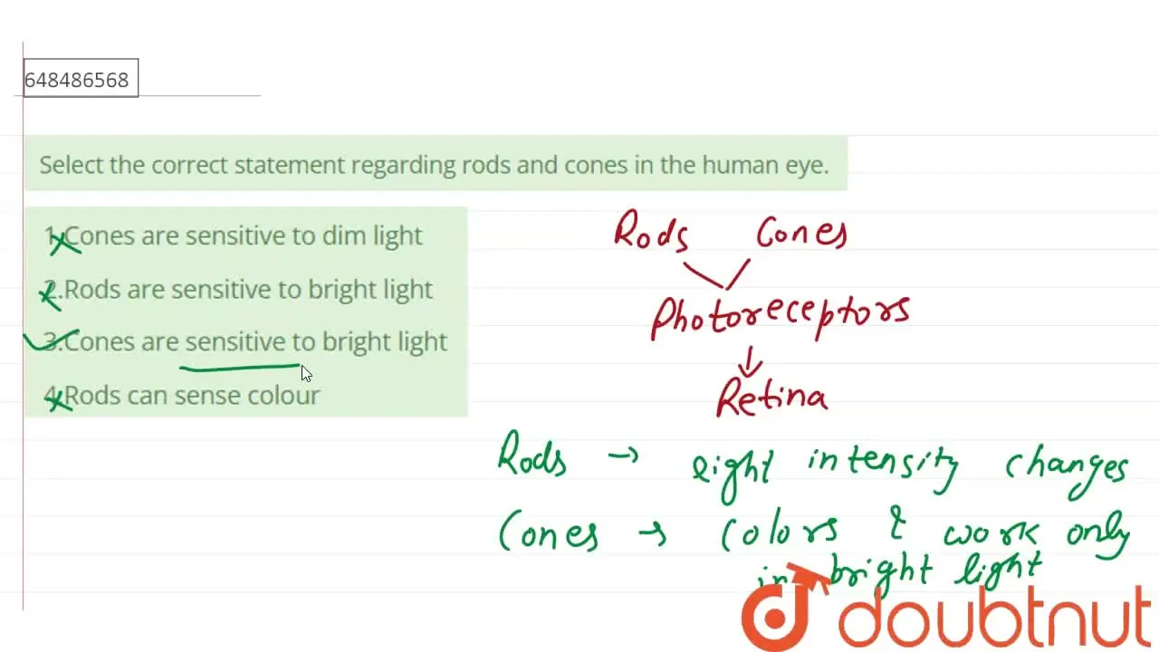 Select the correct statement regarding rods and cones in the human eye