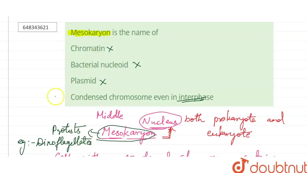 Mesokaryon is the name of