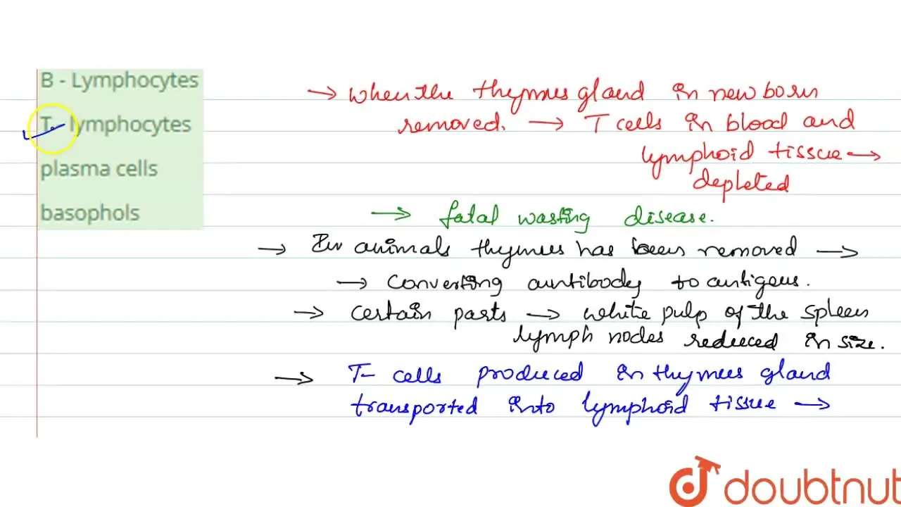 [Kannada Solution] Mammals born without a thymus gland fail to manufac