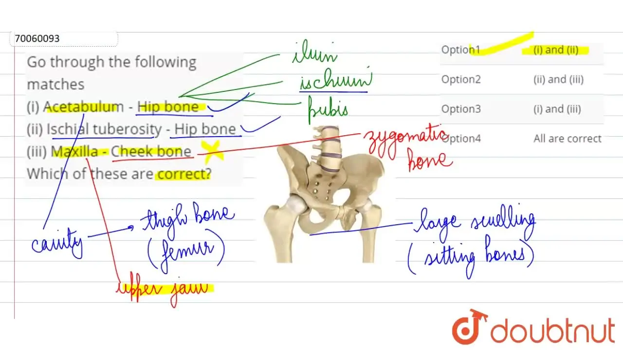 Go through the following matches (i) Acetabulum - Hip bone (ii) Is