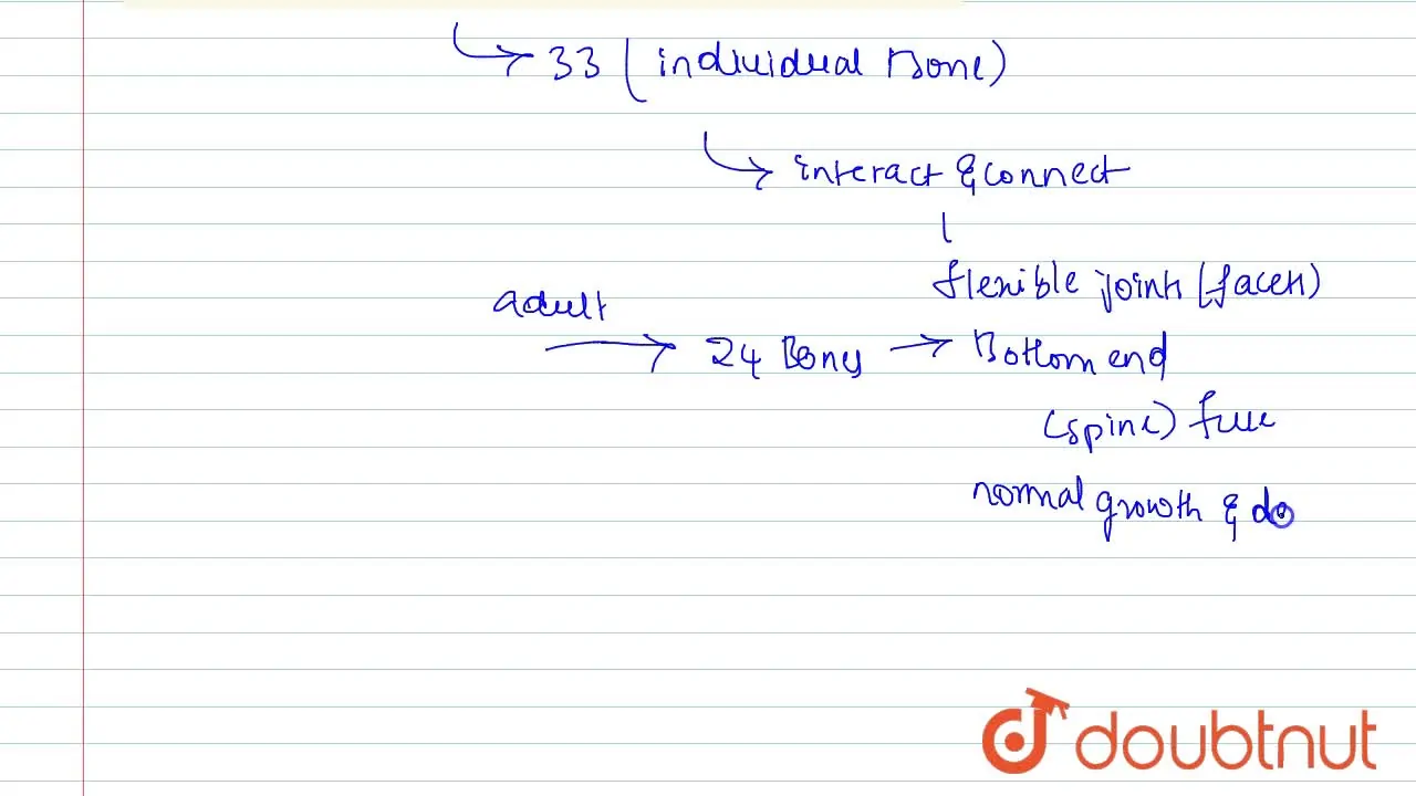 [Telugu Solution] How many vertebrae are there in the backbone of an