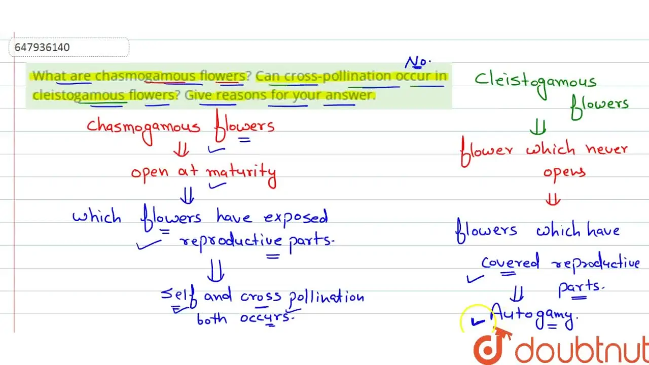 [Punjabi Solution] What are chasmogamous flowers? Can crosspollinatio