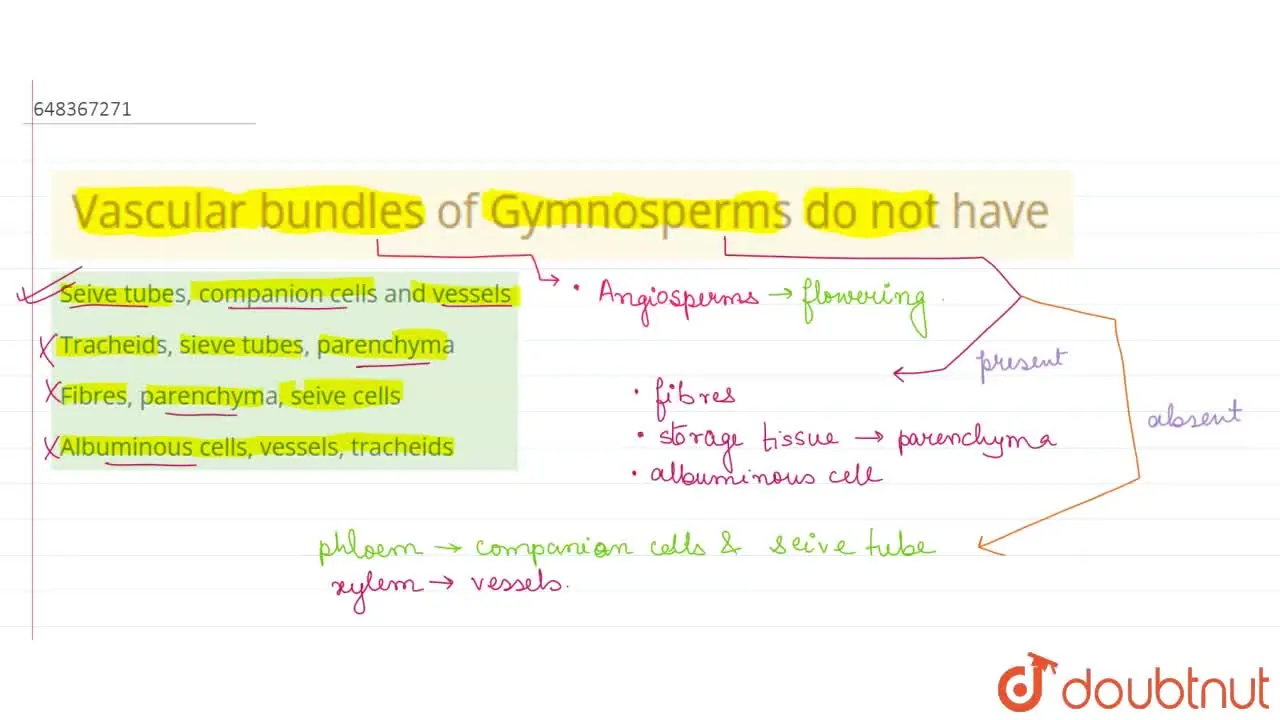 Vascular bundles of Gymnosperms do not have