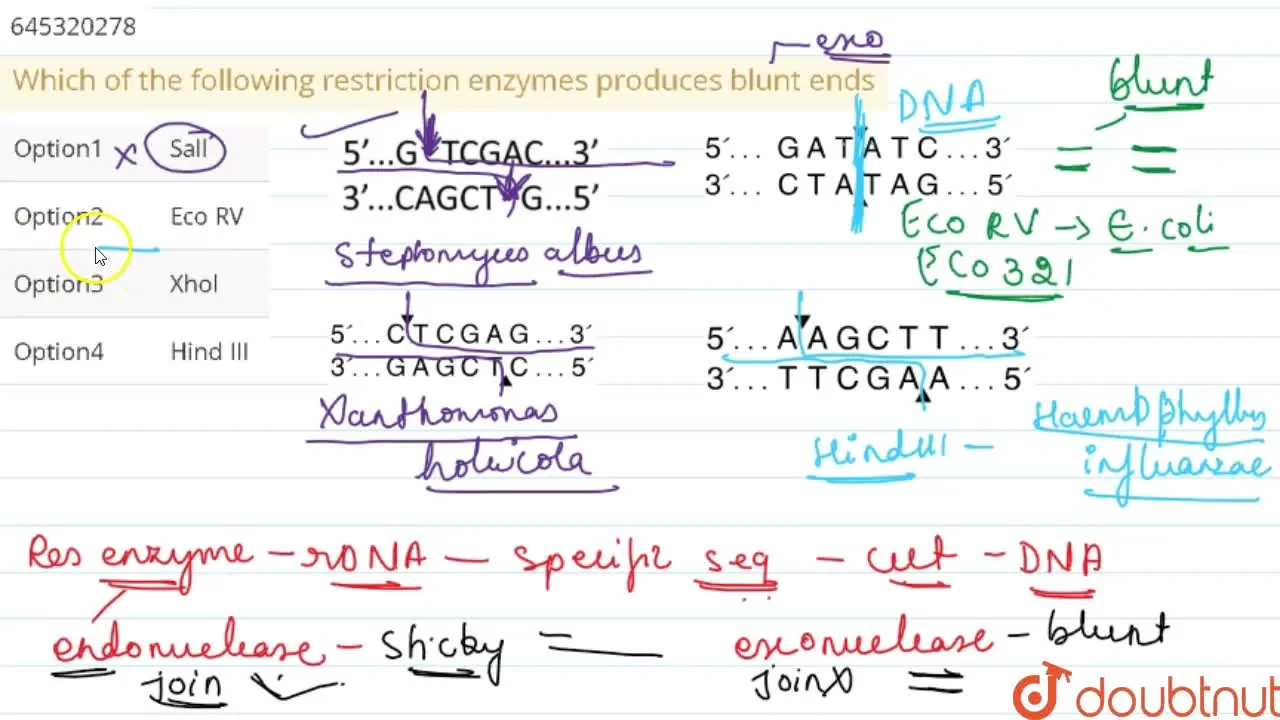 [Kannada Solution] Which of the following restriction enzymes produces