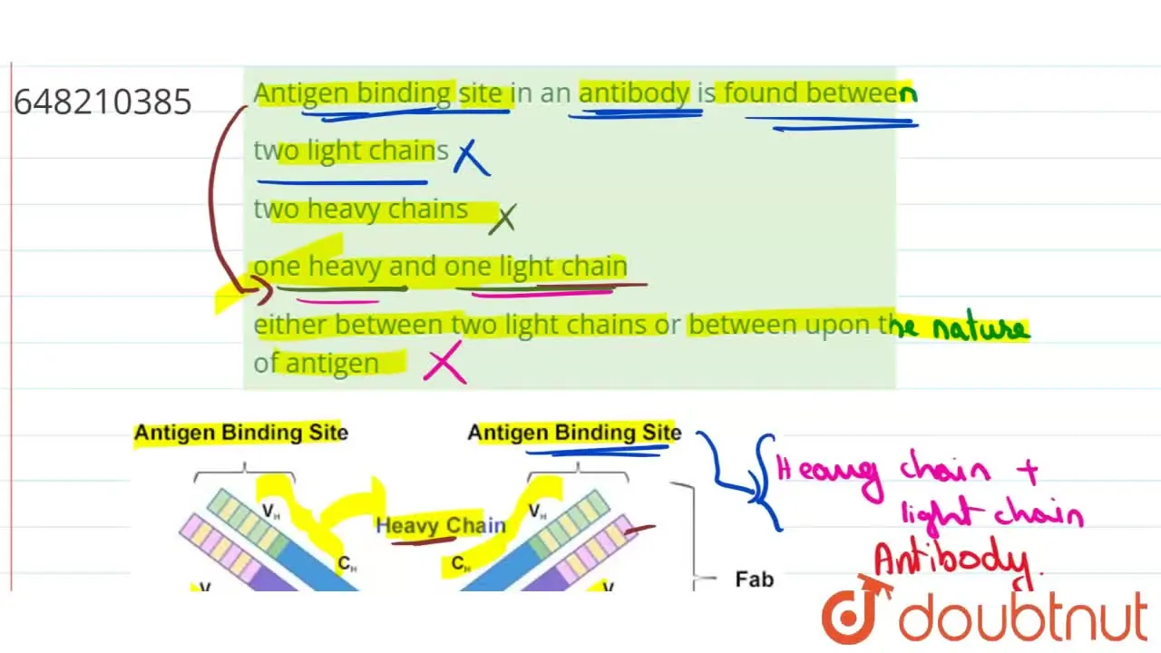 [Kannada Solution] Antigen binding site in an antibody is found betwee