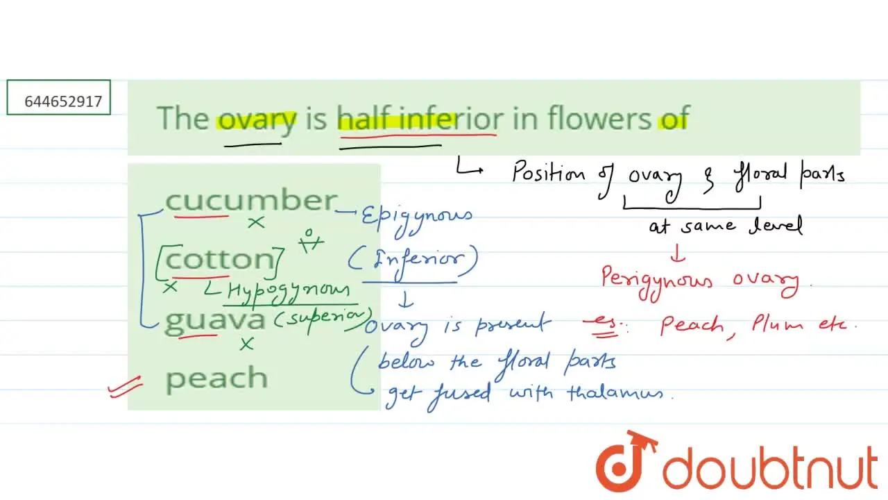 The ovary is half inferior in flowers of
