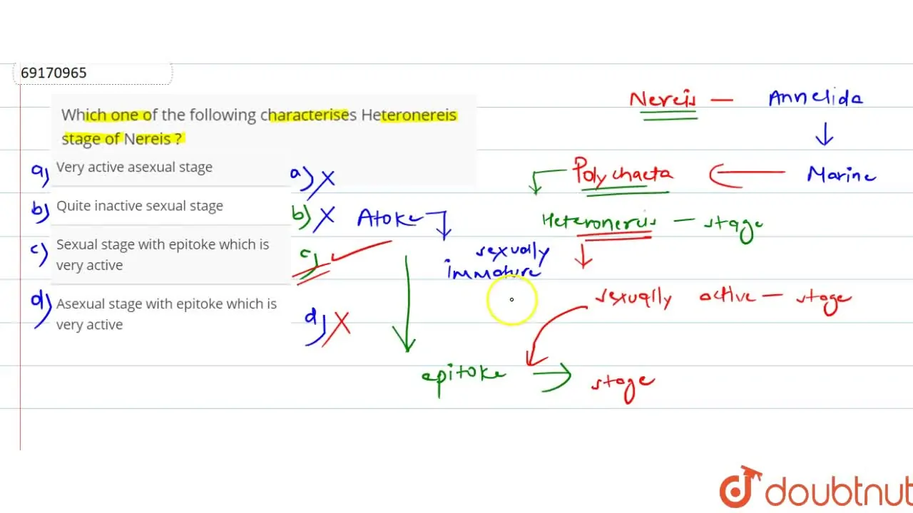 Which one of the following characterises Heteronereis stage of Nereis