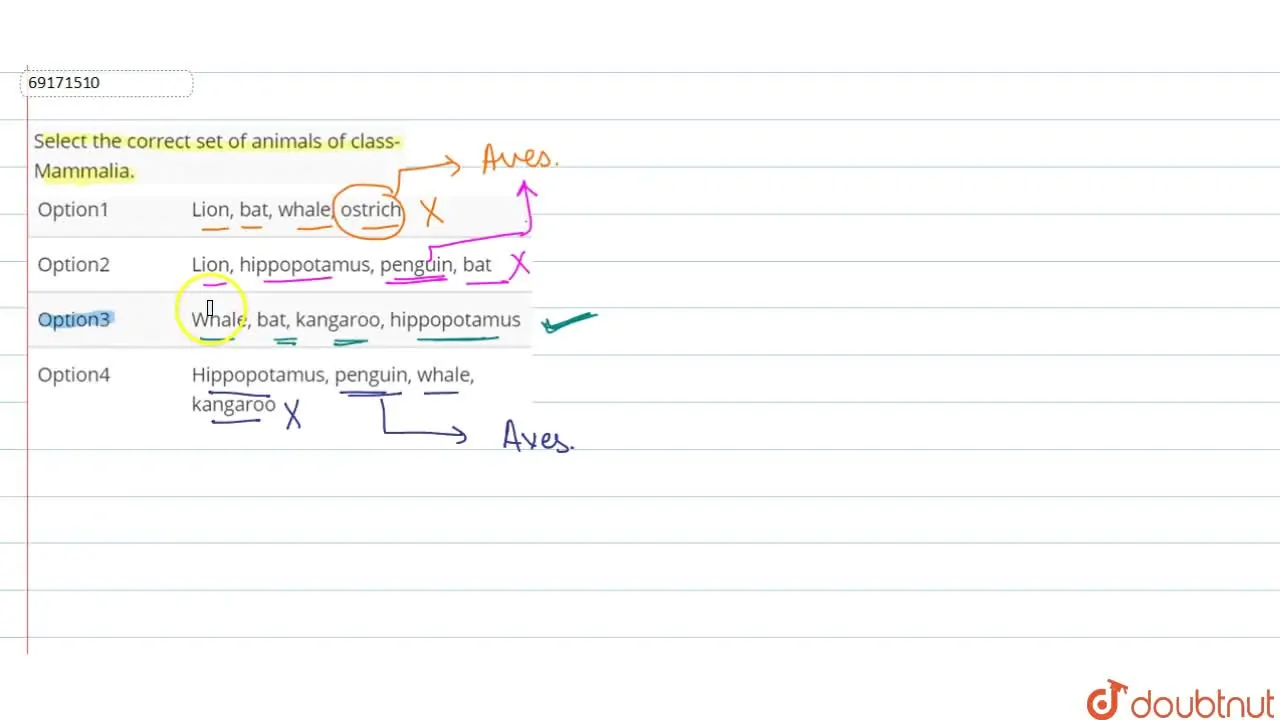 Select the correct set of animals of class-Mammalia.