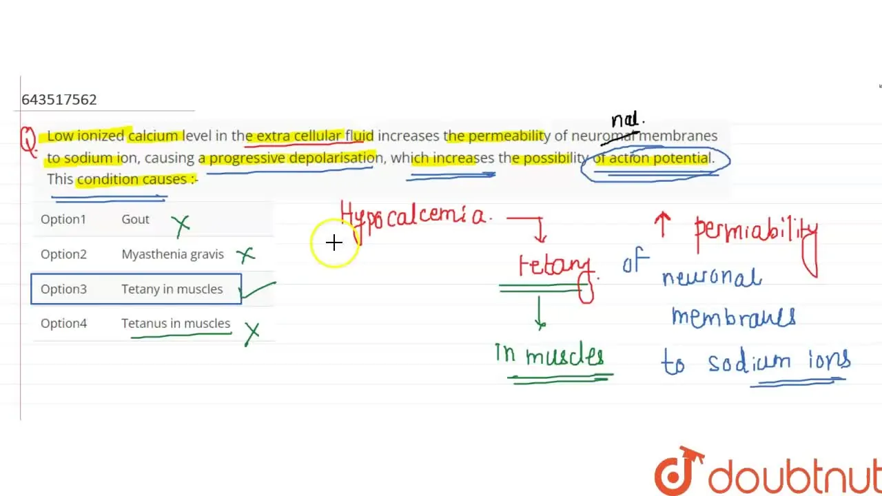 Low ionized calcium level in the extra cellular fluid increases the pe