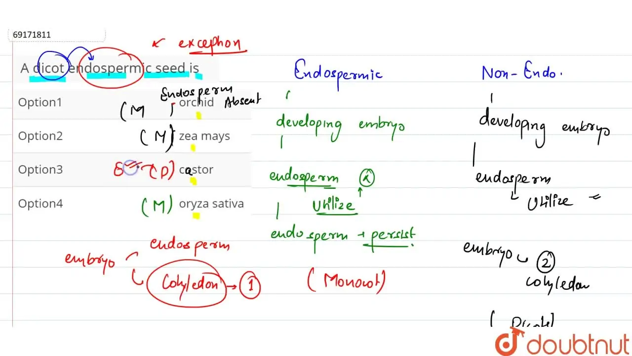 A dicot endospermic seed is