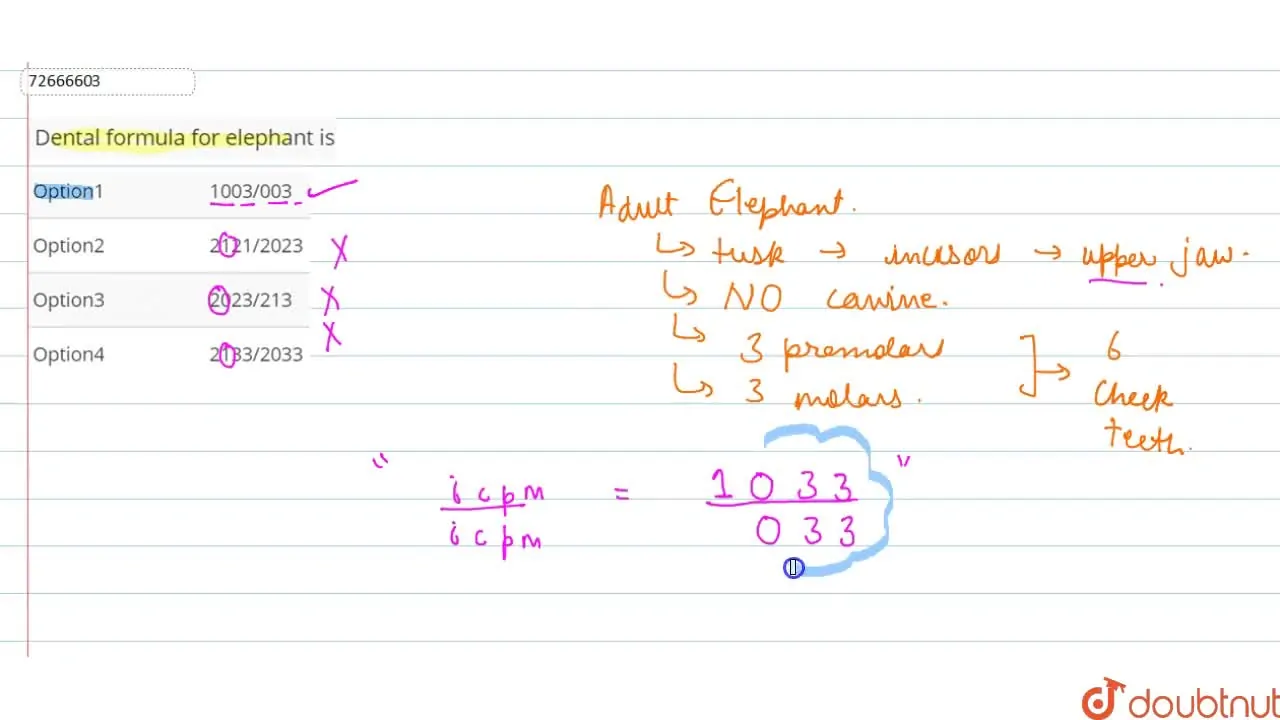 Dental formula for elephant is