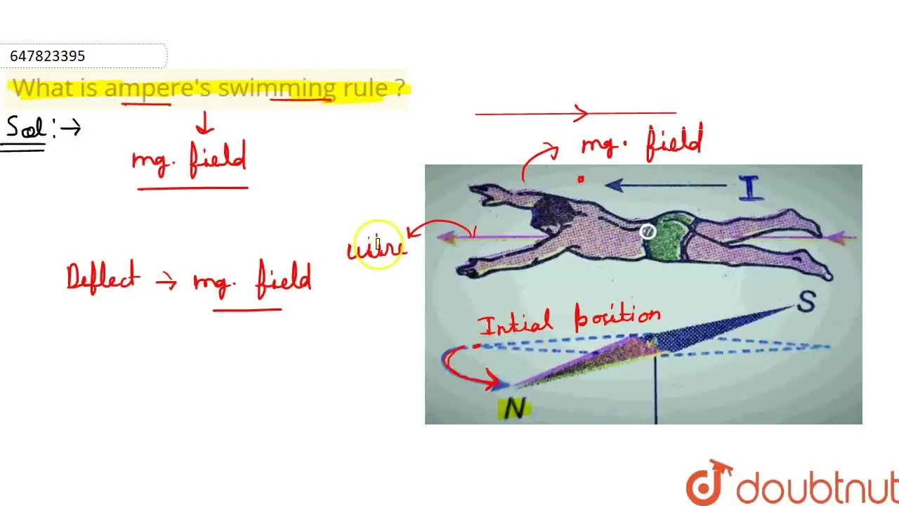 What is ampere's swimming rule