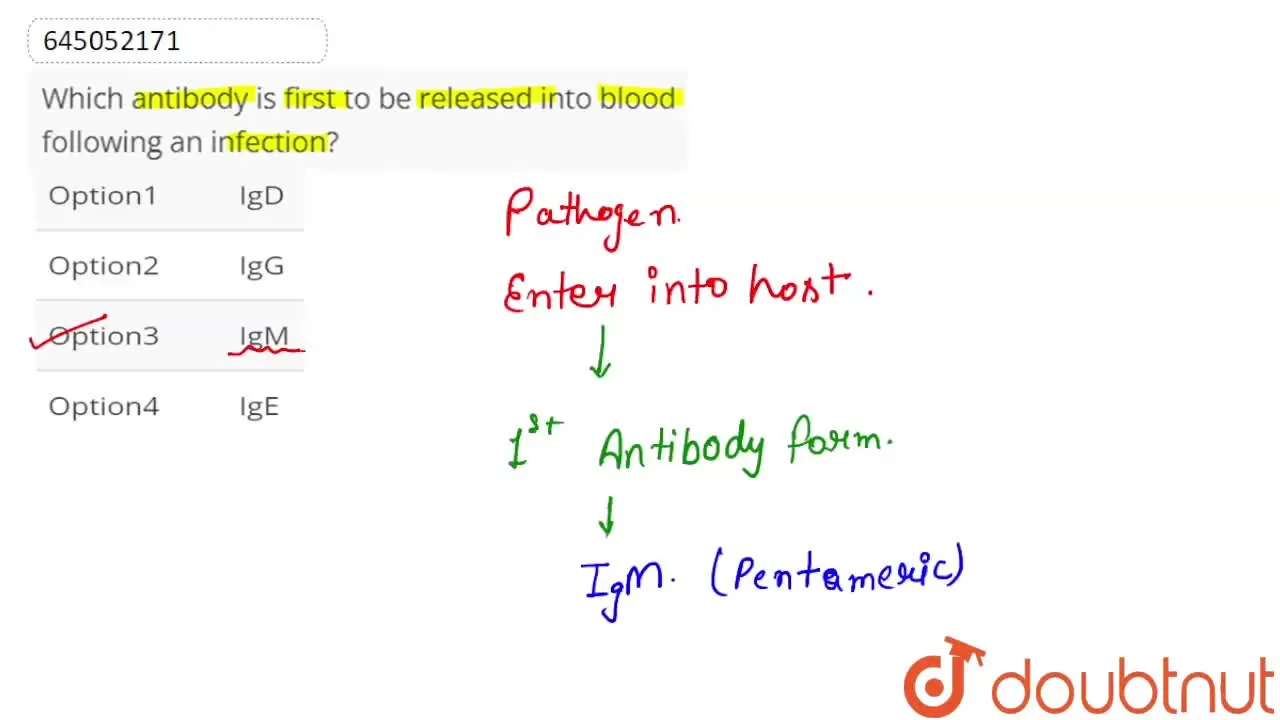 Which antibody is first to be released into blood following an infecti