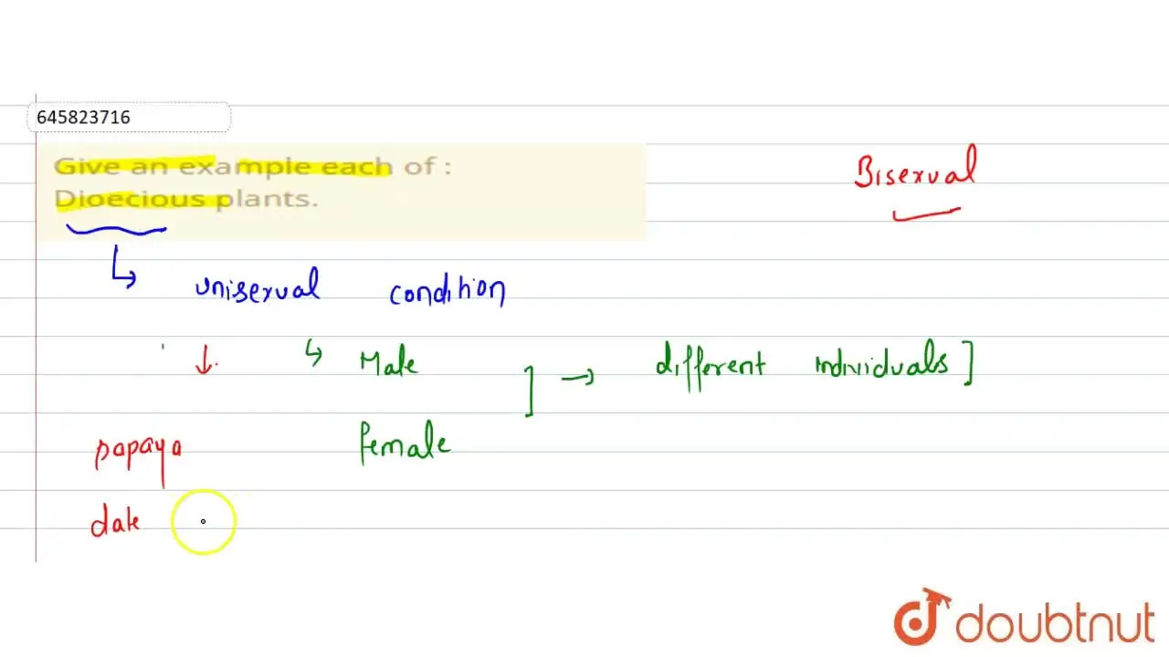 Give an example each of Dioecious plants.