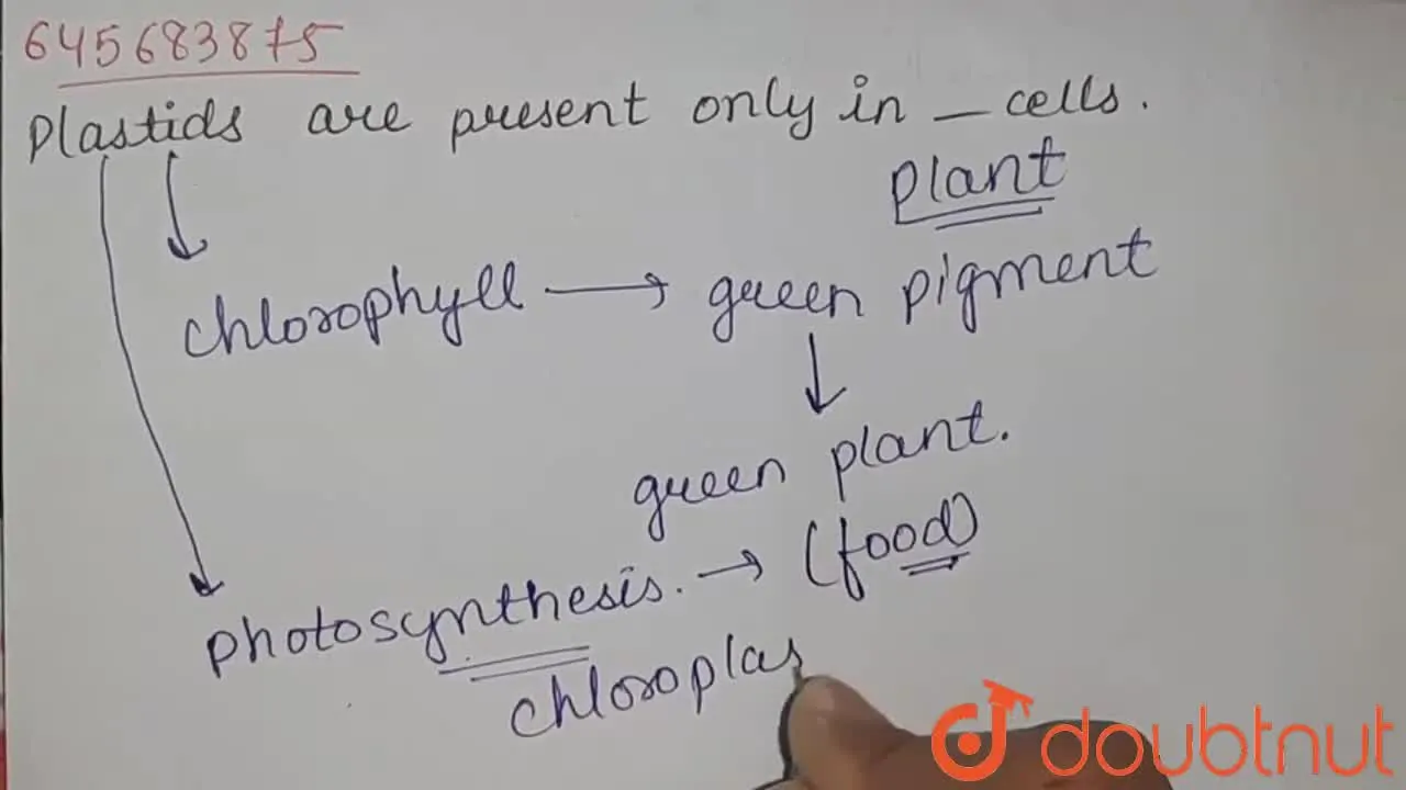 Fill in the blanks Plastids are present only in ………….. cells.